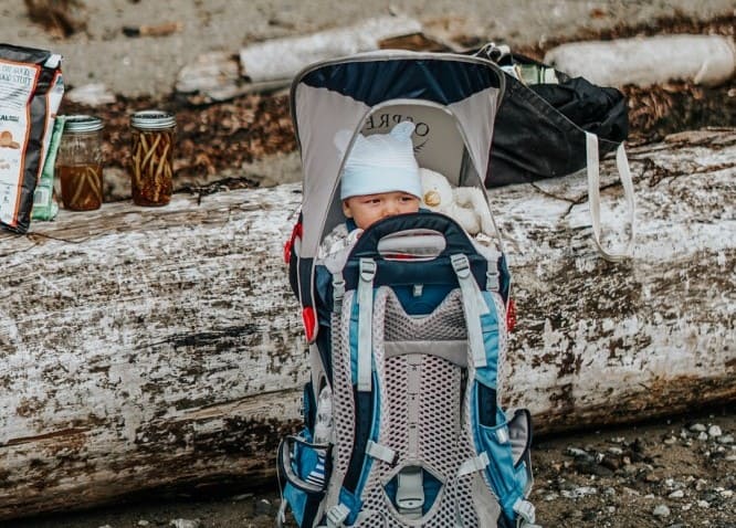 baby travel carrier