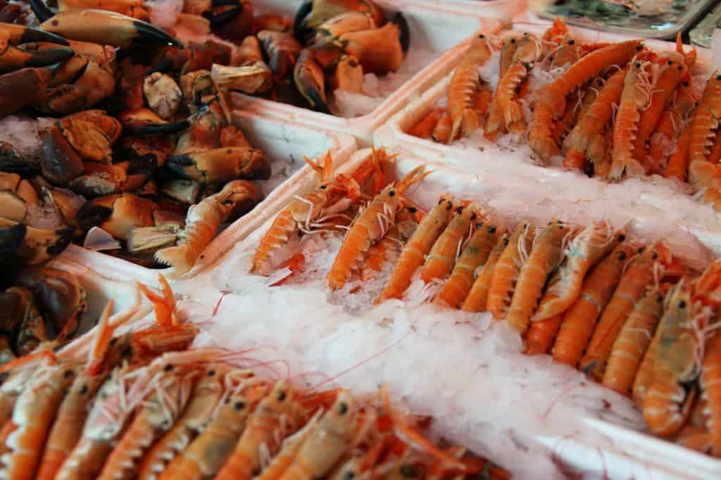 image of fresh seafood. trying it is one of the best things to do in Alghero