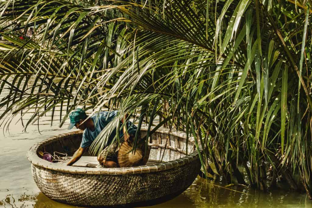 traditional conicle fishing boat in the reeds. Riding one is a great thing to do in Hoi An with kids