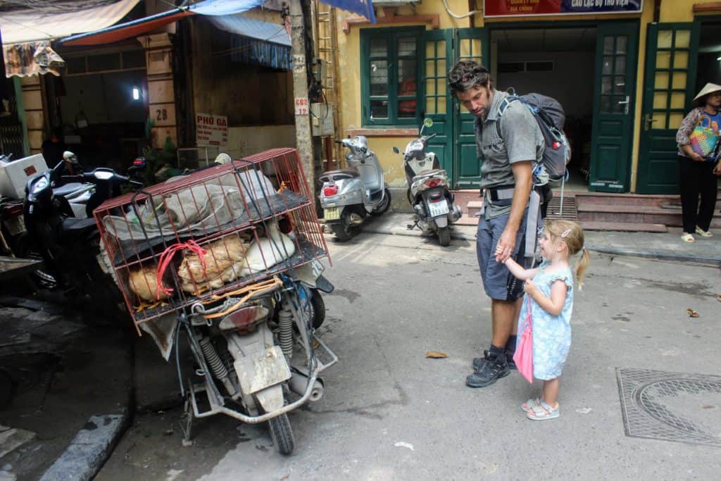 Man in Vietnam with kids looks at chicken on a motorbike